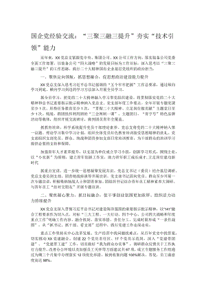 国企党经验交流：“三聚三融三提升”夯实“技术引领”能力.docx