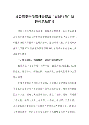 县公安夏季治安打击整治“百日行动”阶段性总结汇报(九篇).docx