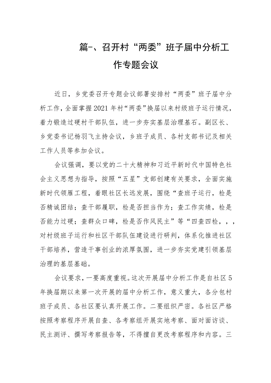 2023召开村“两委”班子届中分析工作专题会议（共8篇）.docx_第2页