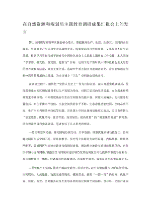 在自然资源和规划局主题教育调研成果汇报会上的发言.docx