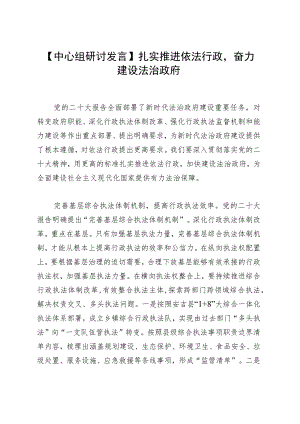 【中心组研讨发言】扎实推进依法行政奋力建设法治政府.docx