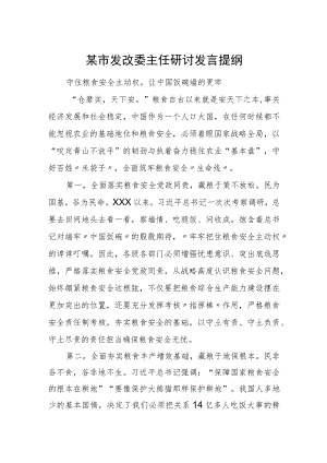 某市发改委主任研讨发言提纲 某市发改委主任研讨发言提纲.docx