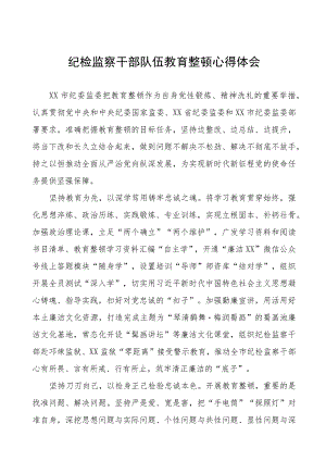 (四篇)纪委监委2023纪检监察干部队伍教育整顿心得体会.docx