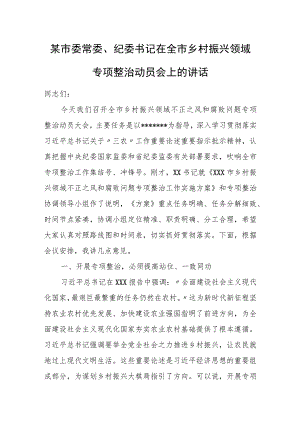 某市委常委、纪委书记在全市乡村振兴领域专项整治动员会上的讲话.docx