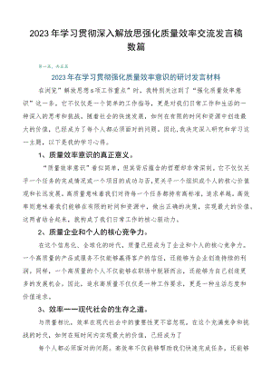 2023年学习贯彻深入解放思强化质量效率交流发言稿数篇.docx