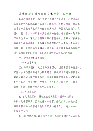 县中医院区域医疗联合体试点工作方案.docx