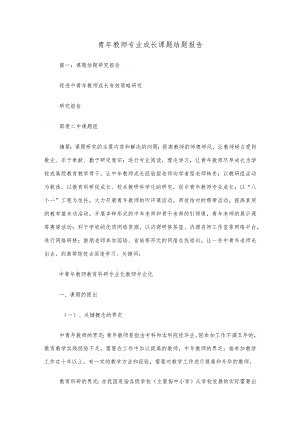 青年教师专业成长课题结题报告.docx