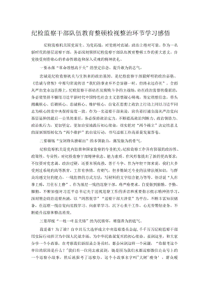 纪检监察干部队伍教育整顿检视整治环节学习感悟.docx