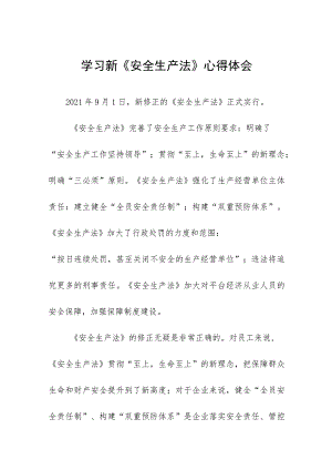 公司学习新《安全生产法》学习心得(九篇).docx