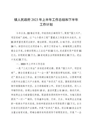 镇人民政府2023年上半年工作总结和下半年工作计划(20230904).docx