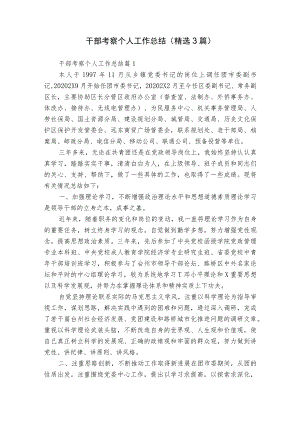 干部考察个人工作总结（精选3篇）.docx