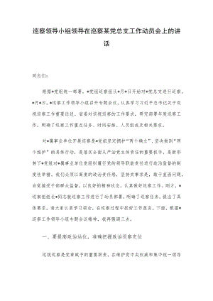 巡察领导小组领导在巡察某党总支工作动员会上的讲话.docx