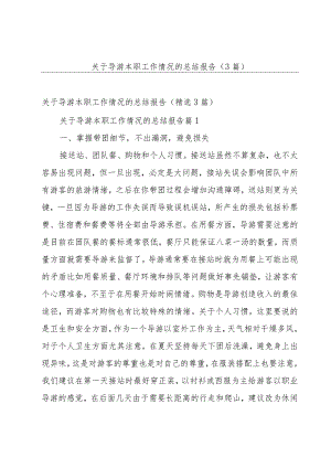 关于导游本职工作情况的总结报告（3篇）.docx