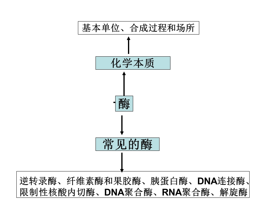 酶的基础知识和曲线.ppt_第3页