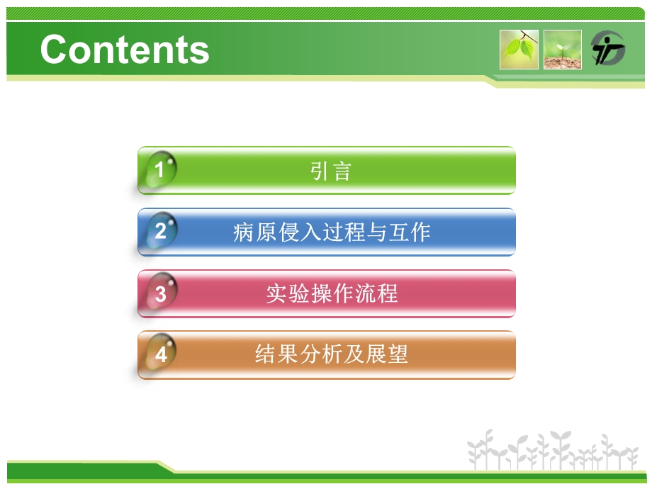 采后苹果与炭疽菌的相互作用及病害控制机理研究.ppt_第2页