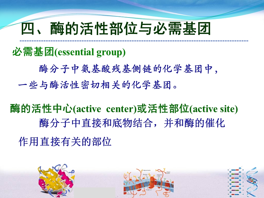 酶的结构纯化及活性十一.ppt_第1页