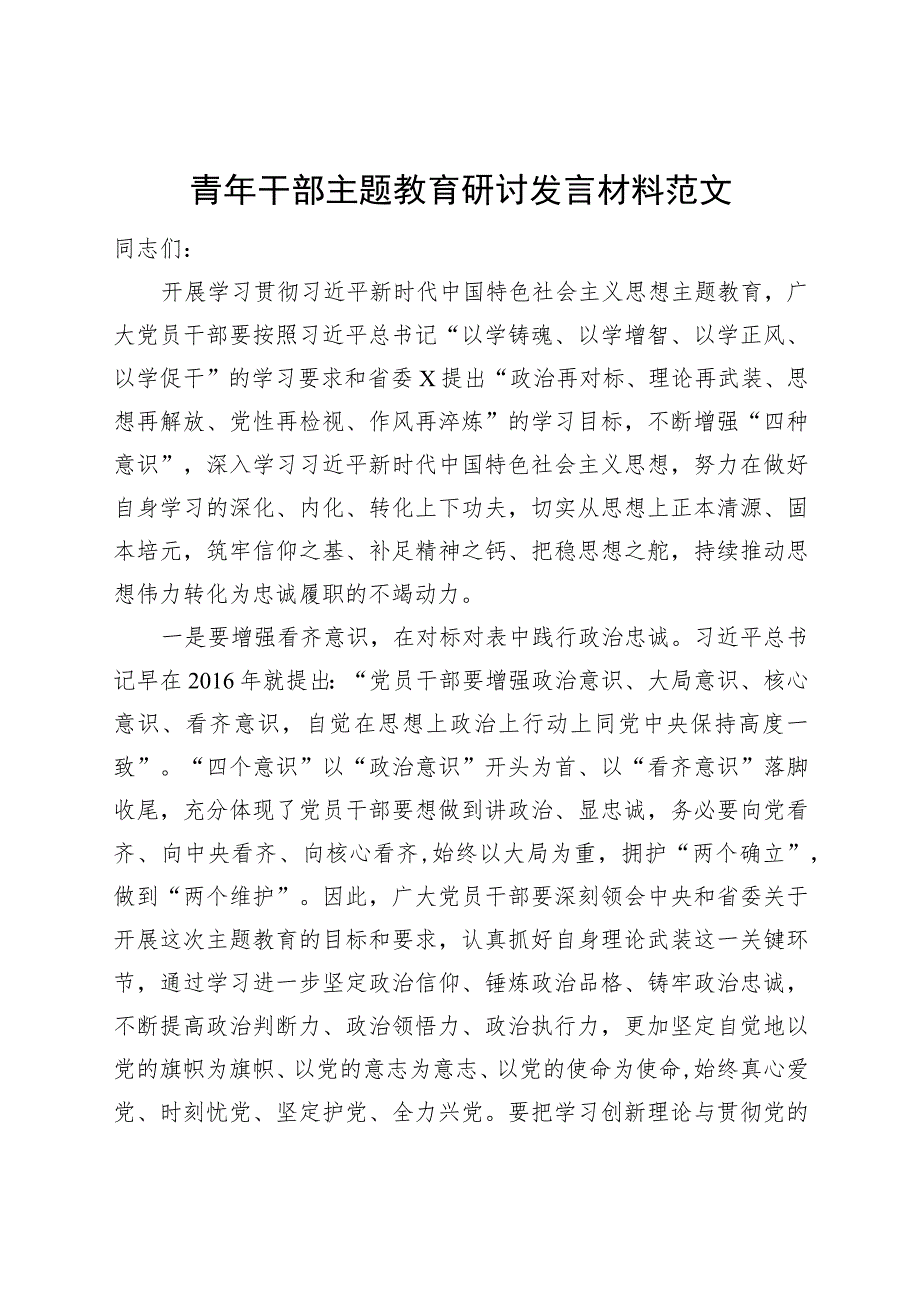 青年干部主题教育研讨发言材料题心得体会主要.docx_第1页