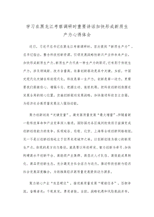 学习在黑龙江考察调研时重要讲话加快形成新质生产力心得体会.docx