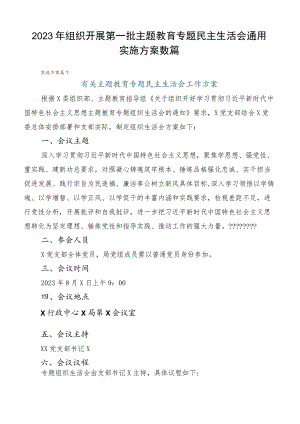 2023年组织开展第一批主题教育专题民主生活会通用实施方案数篇.docx