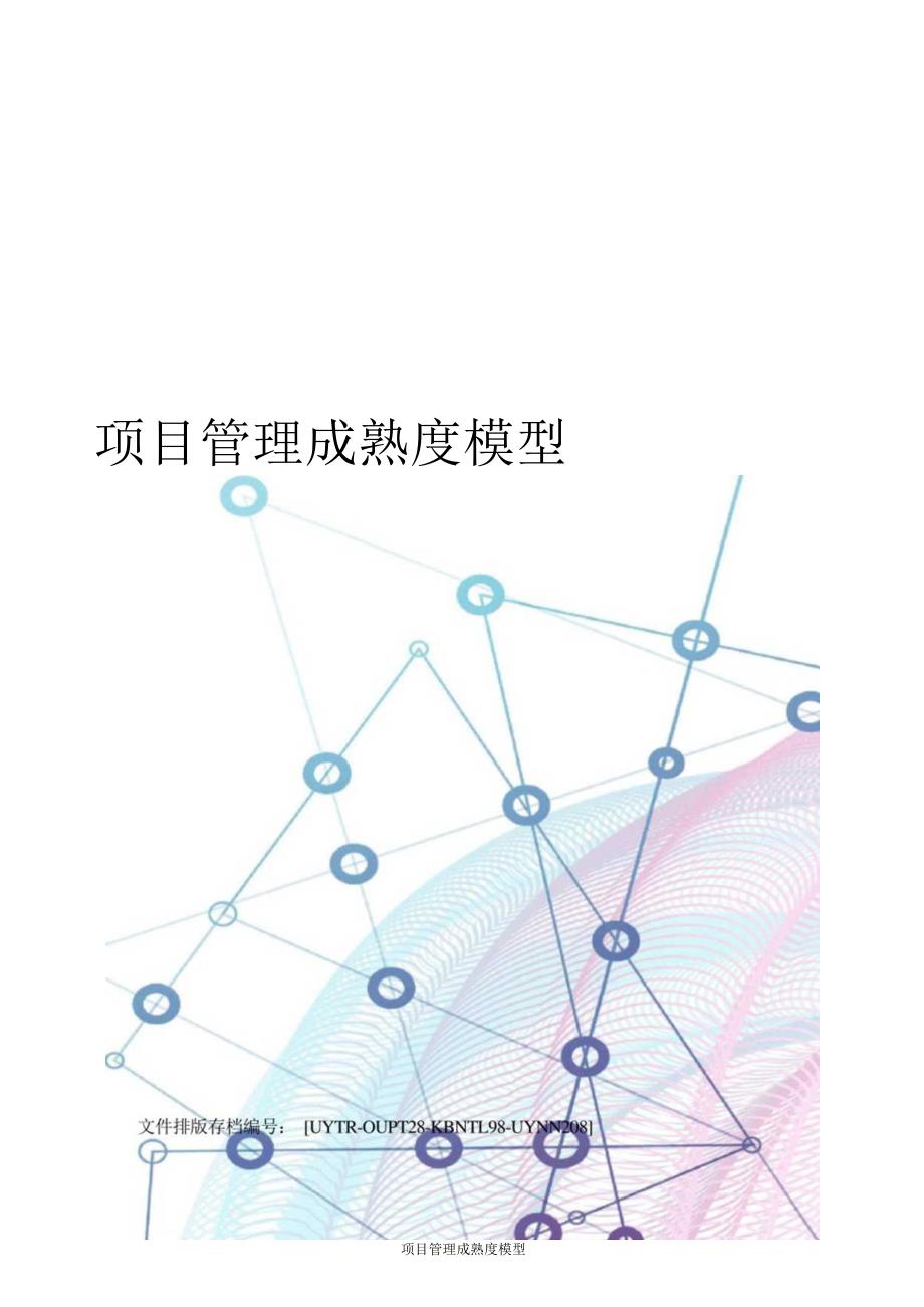 项目管理成熟度模型.docx_第1页