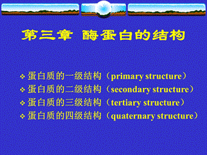 酶蛋白的结构.ppt