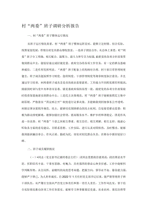 村“两委”班子调研分析报告村“两委”班子调研分析报告.docx