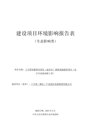 丁字湾双碳智谷西区（起步区）基础设施建设项目（先行区连接道路工程）环评报告表.docx