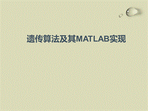 遗传算法及其MATLAB实现.ppt