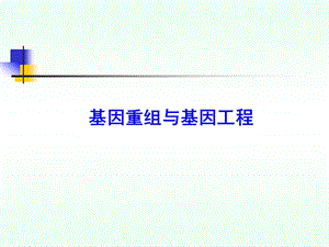 重组DNA技术精简版.ppt