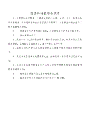 财务科科长安全职责.docx