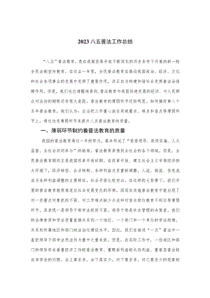 2023八五普法工作总结精选（共八篇）.docx