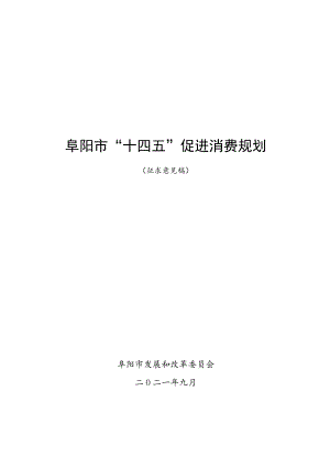 阜阳市“十四五”促进消费规划.docx