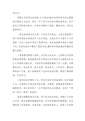 在主题教育专题民主生活会上的点评讲话2500字.docx