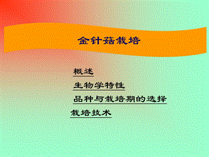 金针菇栽培技术.ppt