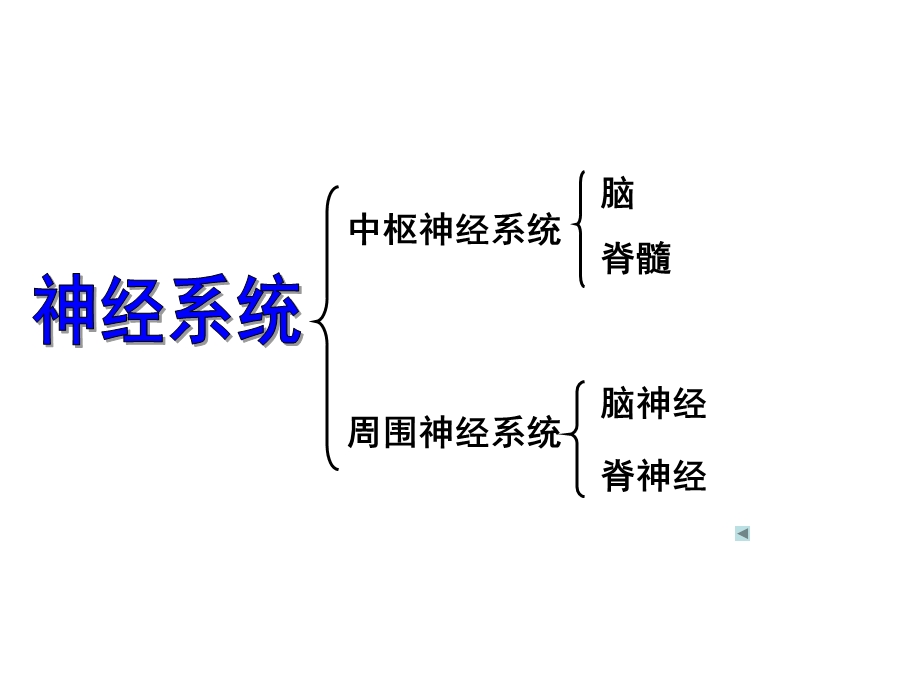 通过神经系统调节.ppt_第3页