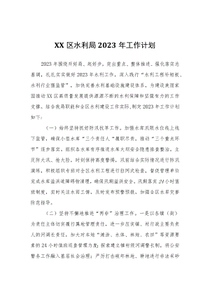 XX区水利局2023年工作计划.docx