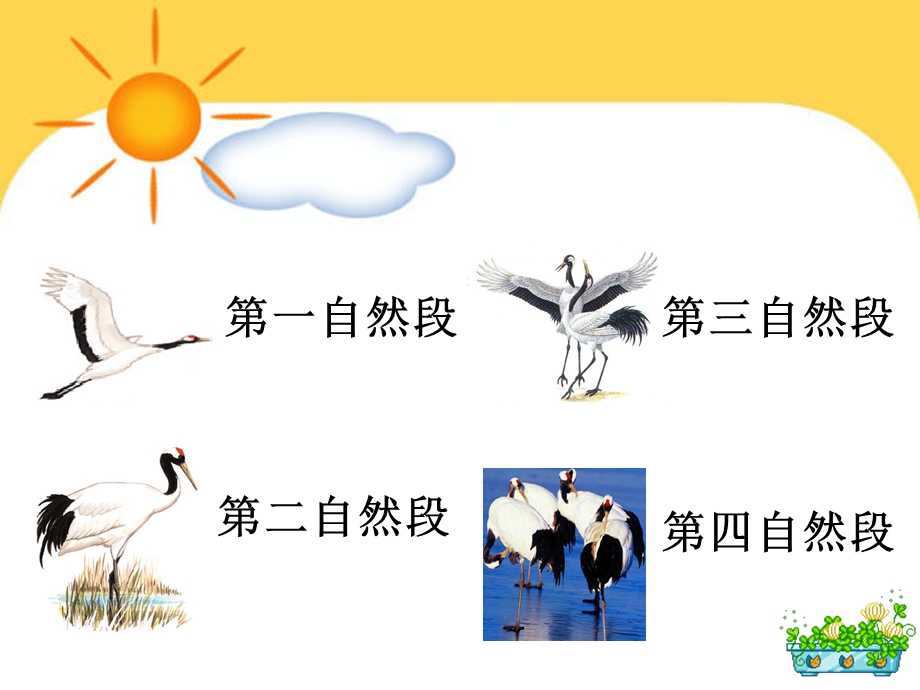 美丽的丹顶鹤5.ppt_第3页