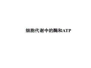 酶和ATP复习.ppt