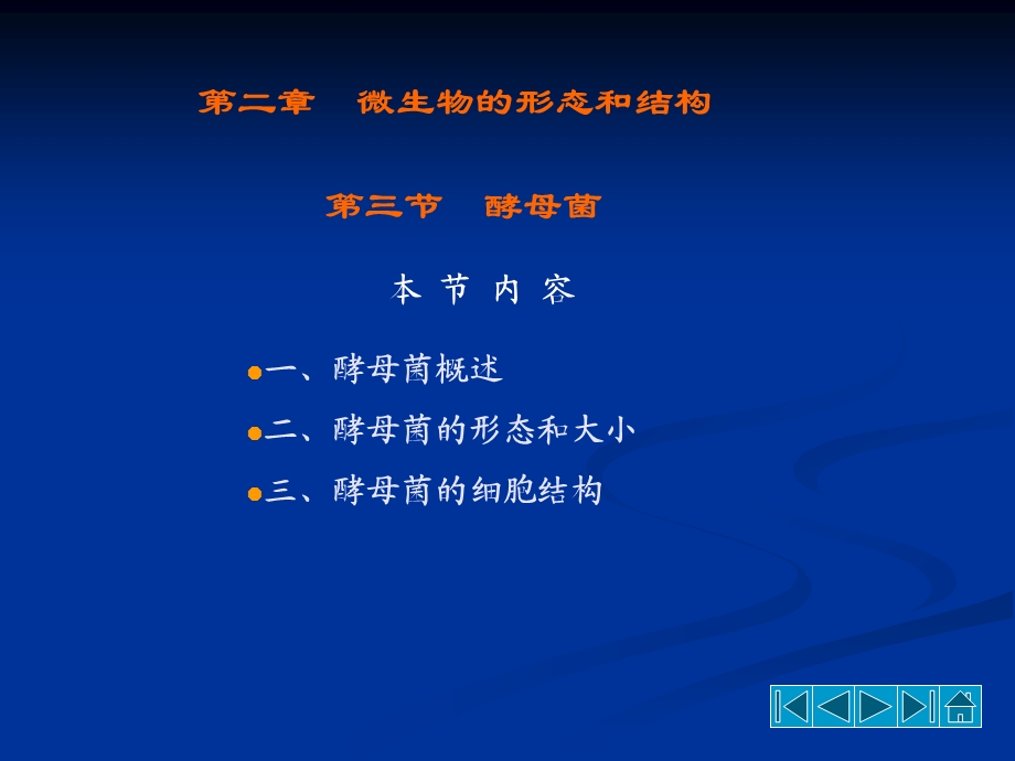 酵母菌的形态结构.ppt_第2页