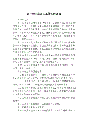 青年安全监督岗工作管理办法.docx