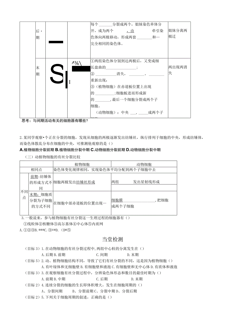 第五章第1节细胞增殖.docx_第3页