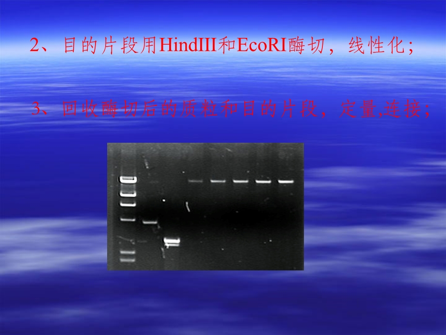 连接产物的转化.ppt_第3页