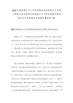 2023年推进建立中小学校党组织领导的校长负责制心得体会发言材料与贯彻执行中小学校党组织领导的校长负责制情况自查报告【两篇文】.docx