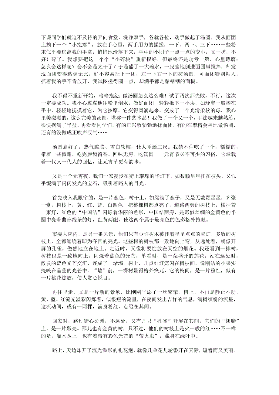 有趣的元宵节作文八篇.docx_第2页