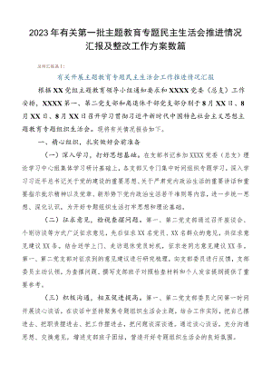 2023年有关第一批主题教育专题民主生活会推进情况汇报及整改工作方案数篇.docx