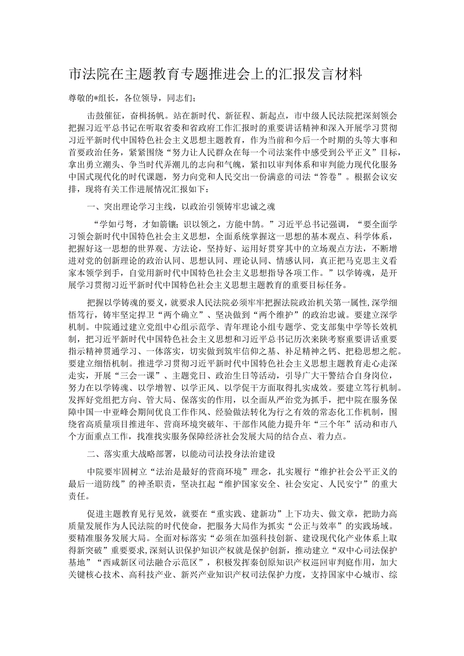 市法院在主题教育专题推进会上的汇报发言材料.docx_第1页