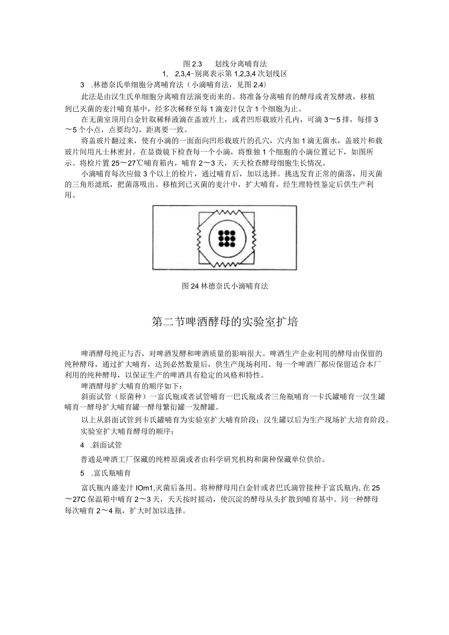 啤酒发酵酵母扩培学习资料.docx_第3页