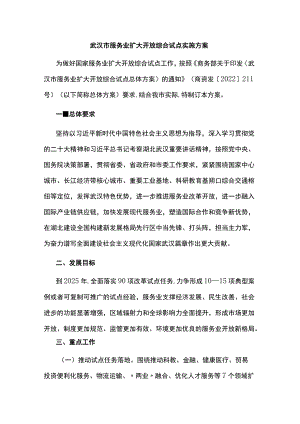 武汉市服务业扩大开放综合试点实施方案.docx