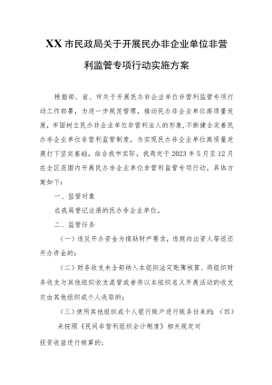 XX市民政局关于开展民办非企业单位非营利监管专项行动实施方案.docx