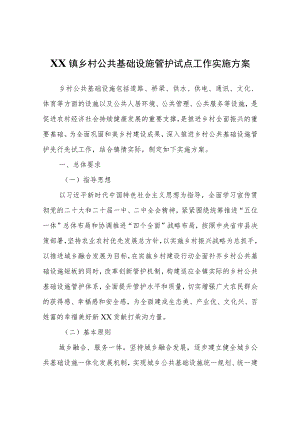 XX镇乡村公共基础设施管护试点工作实施方案.docx